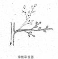 2025年2月4日 (二) 14:07版本的缩略图