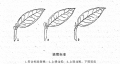 2025年2月4日 (二) 15:25版本的缩略图