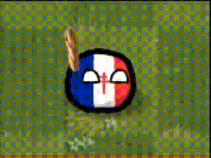 波兰球大战自由法国射手.gif