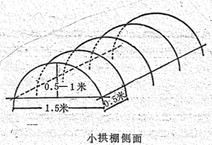 军地两用人才之友（续编本)图片-小拱棚侧面.png
