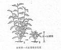 2025年2月4日 (二) 15:27版本的缩略图