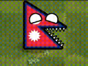 波兰球大战重置版尼泊尔.gif