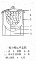 2025年2月4日 (二) 14:07版本的缩略图