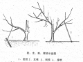 2025年2月4日 (二) 14:05版本的缩略图