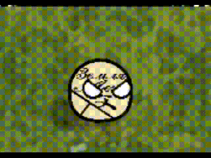 个人球维基pak列斯.gif